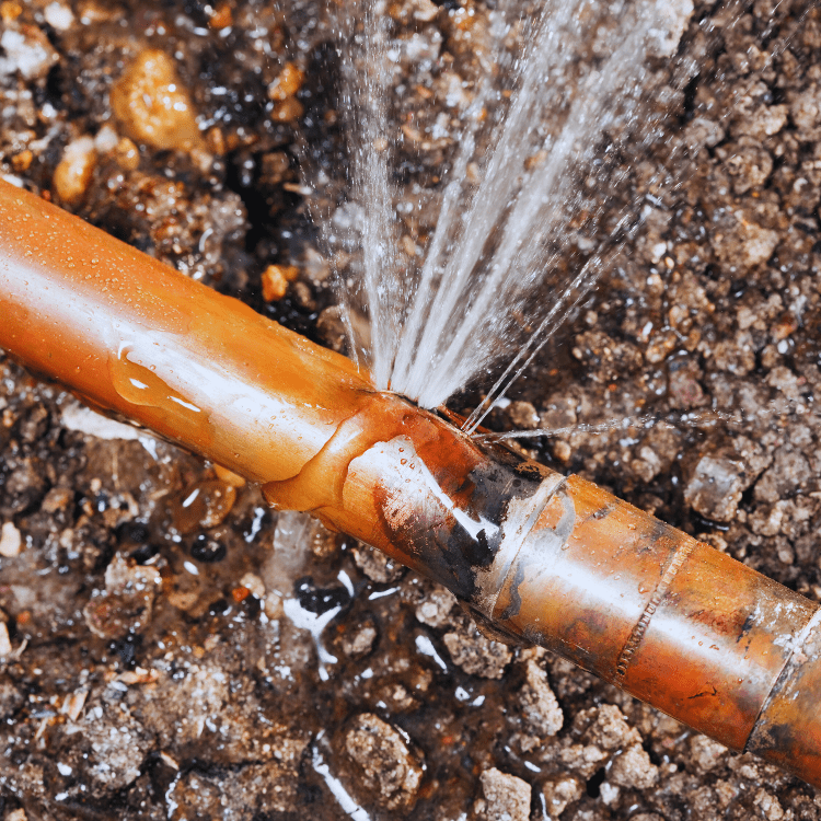 cracked drain pipe