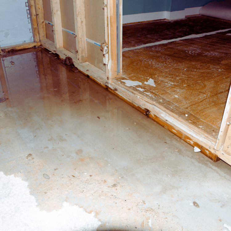 flooded drain