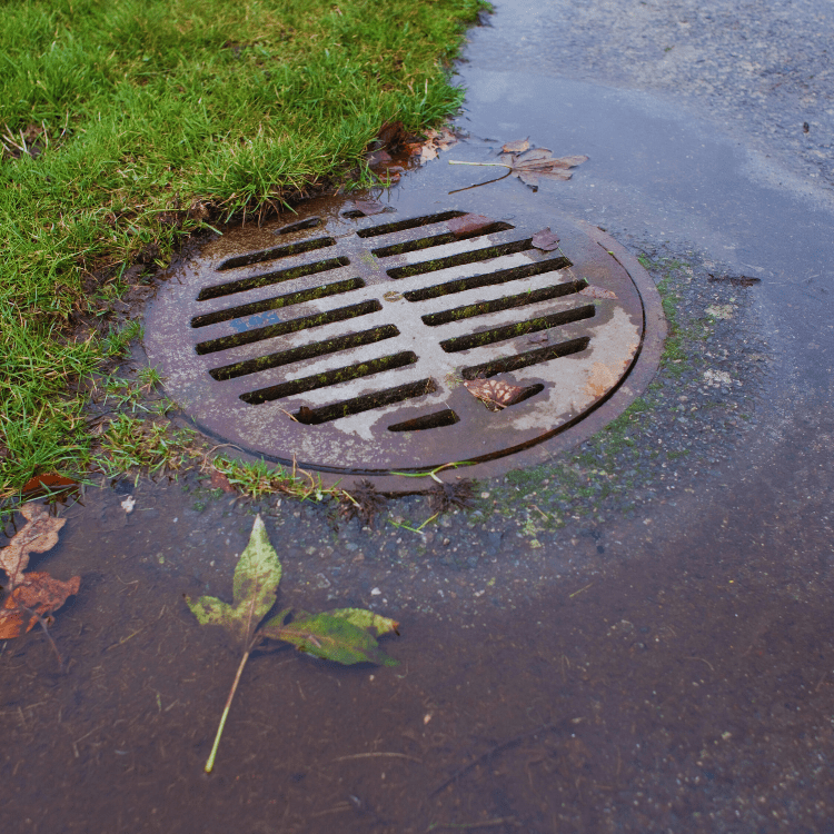blocked sewer cctv survey gravesend